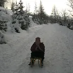 Lejlighed Vidmar Arriach